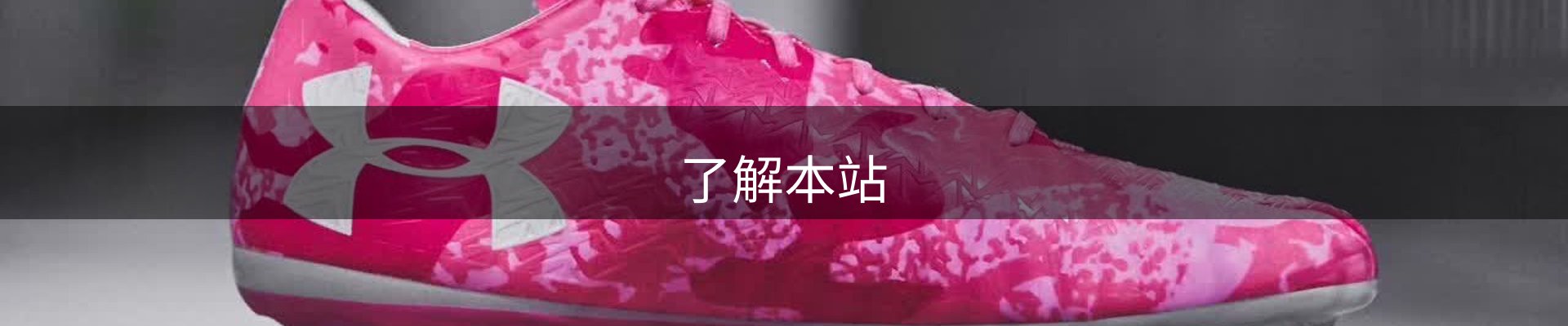 了解本站