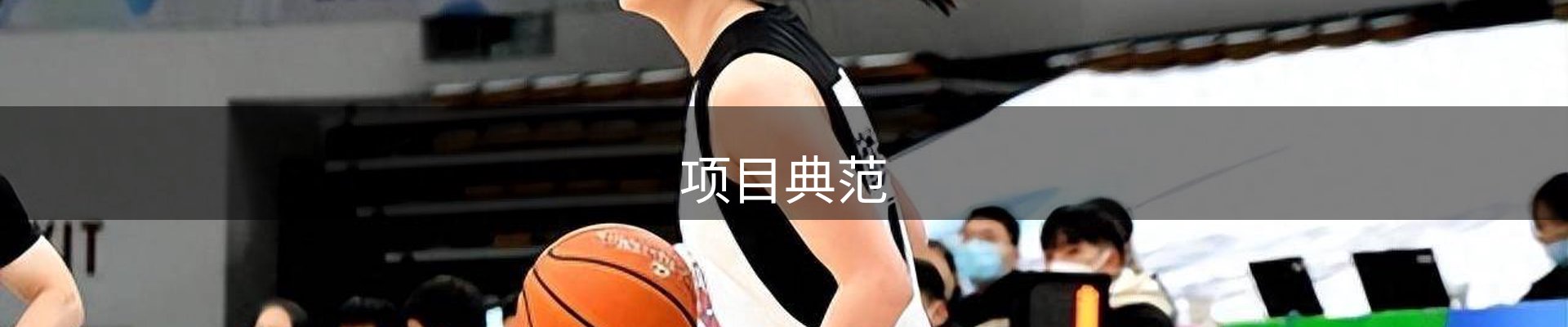 项目典范